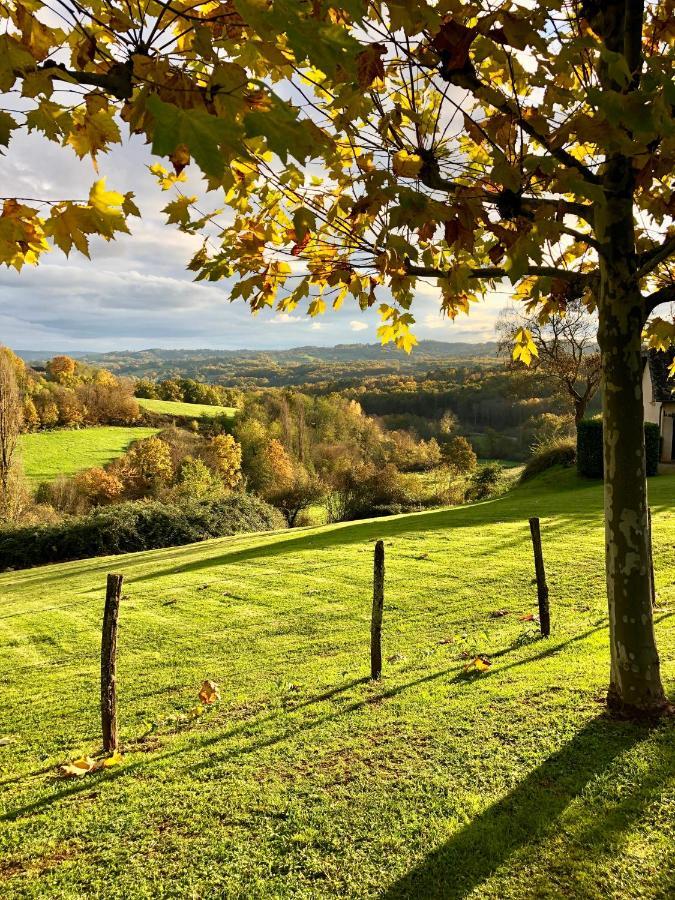 Domaine Leyvinie, Gite Chardonnay, Close To Dordogne Perpezac-le-Blanc Exterior foto